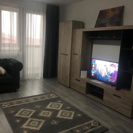Ilinca-Zgatia Apartment Piatra Neamt Bagian luar foto