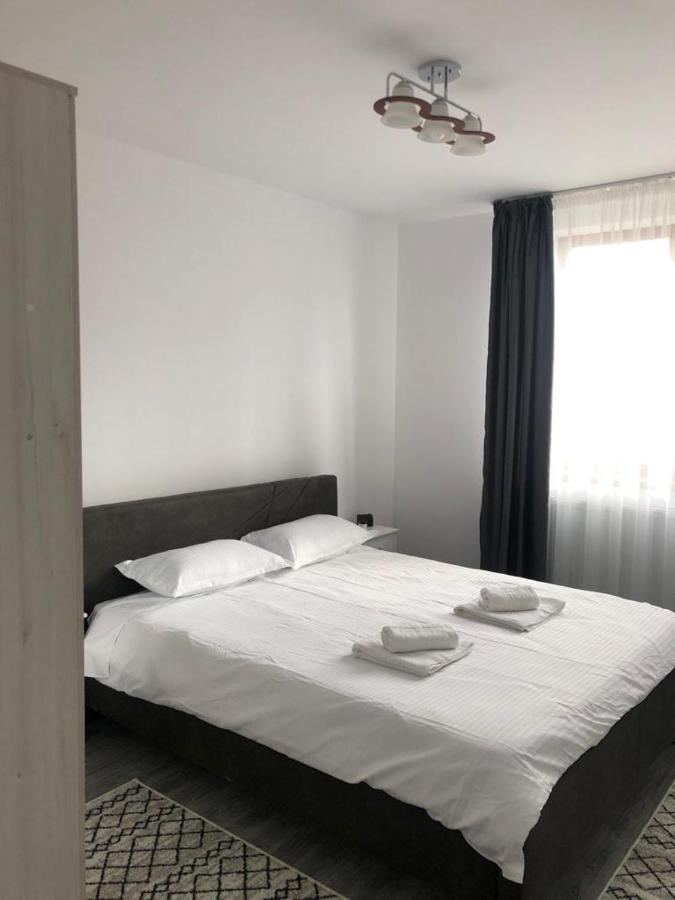 Ilinca-Zgatia Apartment Piatra Neamt Bagian luar foto