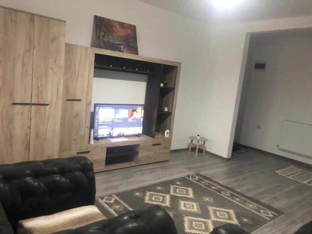 Ilinca-Zgatia Apartment Piatra Neamt Bagian luar foto